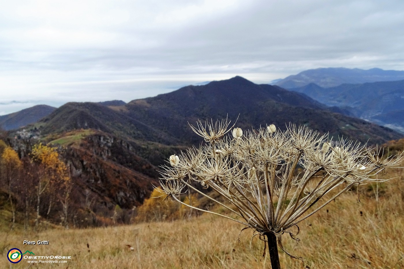 52 Dal sent. 531 sul Monte Costone vista verso il Canto Alto e il Linzone.JPG